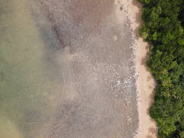 Malezya 'nın Borneo Adası' ndaki pek çok kişi tarafından keşfedilmemiş Satang Adası 'nın Gizemli Cenneti.
