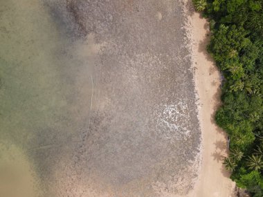 Malezya 'nın Borneo Adası' ndaki pek çok kişi tarafından keşfedilmemiş Satang Adası 'nın Gizemli Cenneti.