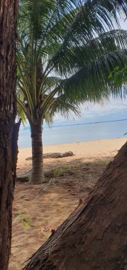 Malezya 'nın Borneo Adası' ndaki pek çok kişi tarafından keşfedilmemiş Satang Adası 'nın Gizemli Cenneti.