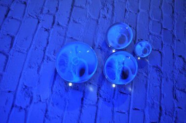 Parlak ışıklandırma ve lüks arka planı olan kristal cam küre.