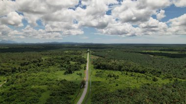 Sarawak 'taki Palm Oil Konutları, Borneo Adası, Malezya