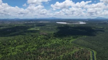 Sarawak 'taki Palm Oil Konutları, Borneo Adası, Malezya