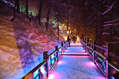 Harbin, Çin 6 Ocak 2026: Harbin 'in Kar Köyü