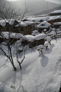 Harbin, Çin 6 Ocak 2026: Harbin 'in Kar Köyü