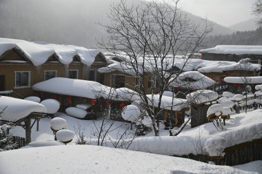 Harbin, Çin 6 Ocak 2026: Harbin 'in Kar Köyü