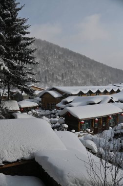 Harbin, Çin 6 Ocak 2026: Harbin 'in Kar Köyü