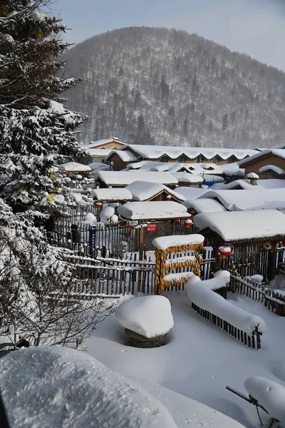 Harbin, Çin 6 Ocak 2026: Harbin 'in Kar Köyü