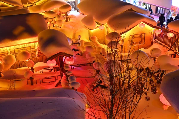 Harbin, Çin 6 Ocak 2026: Harbin 'in Kar Köyü