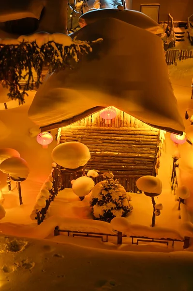 Harbin, Çin 6 Ocak 2026: Harbin 'in Kar Köyü