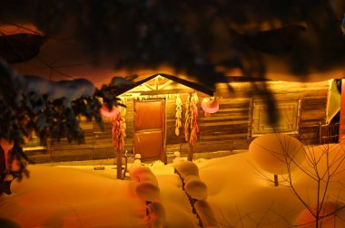 Harbin, Çin 6 Ocak 2026: Harbin 'in Kar Köyü