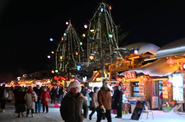 Harbin, Çin 6 Ocak 2026: Harbin 'in Kar Köyü