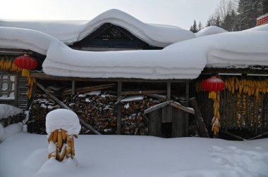Harbin, Çin 6 Ocak 2026: Harbin 'in Kar Köyü