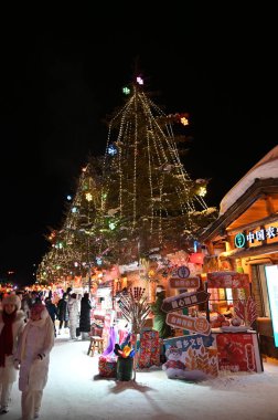 Harbin, Çin 6 Ocak 2026: Harbin 'in Kar Köyü