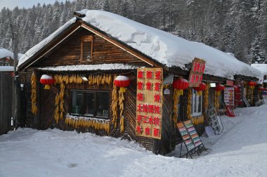 Harbin, Çin 6 Ocak 2026: Harbin 'in Kar Köyü