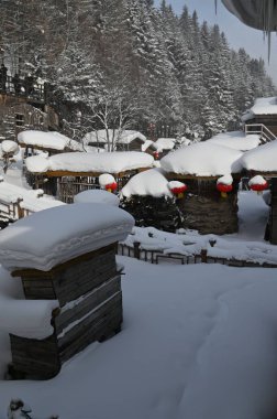 Harbin, Çin 6 Ocak 2026: Harbin 'in Kar Köyü