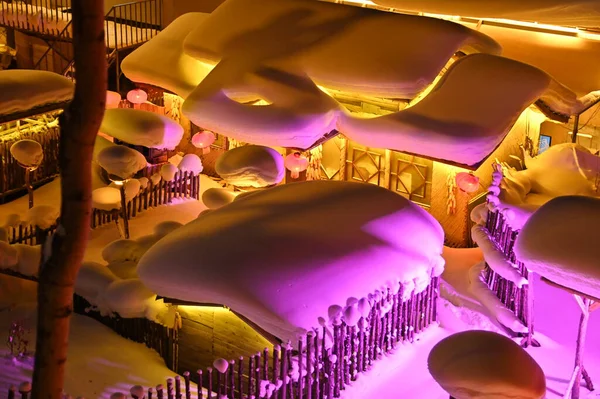 Harbin, Çin 6 Ocak 2026: Harbin 'in Kar Köyü