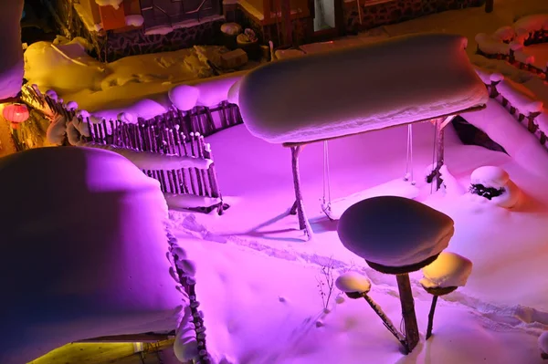 Harbin, Çin 6 Ocak 2026: Harbin 'in Kar Köyü