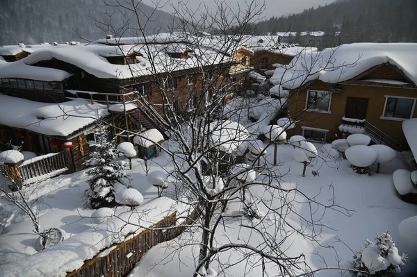 Harbin, Çin 6 Ocak 2026: Harbin 'in Kar Köyü