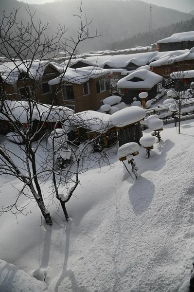 Harbin, Çin 6 Ocak 2026: Harbin 'in Kar Köyü