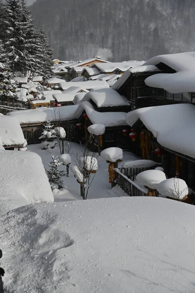 Harbin, Çin 6 Ocak 2026: Harbin 'in Kar Köyü