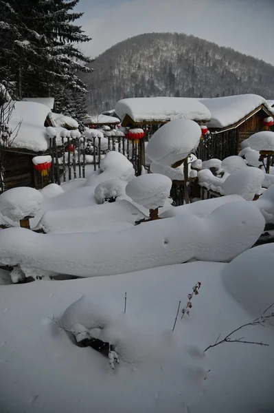 Harbin, Çin 6 Ocak 2026: Harbin 'in Kar Köyü