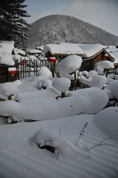 Harbin, Çin 6 Ocak 2026: Harbin 'in Kar Köyü