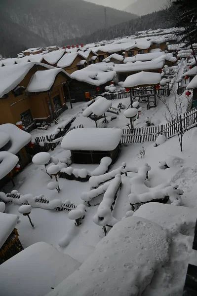 Harbin, Çin 6 Ocak 2026: Harbin 'in Kar Köyü