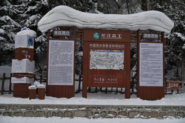 Harbin, Çin 6 Ocak 2026: Harbin 'in Kar Köyü