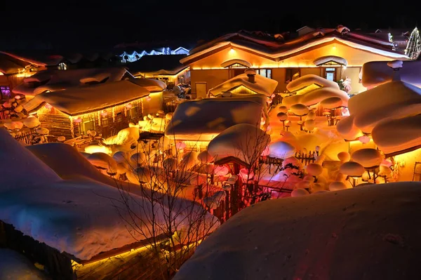 Harbin, Çin 6 Ocak 2026: Harbin 'in Kar Köyü