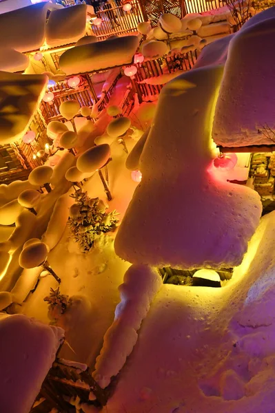 Harbin, Çin 6 Ocak 2026: Harbin 'in Kar Köyü