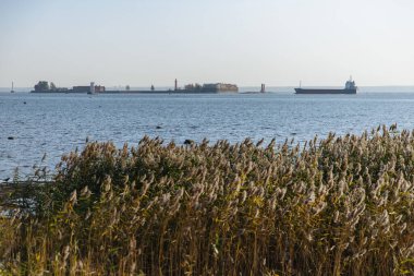 Kronstadt 'a kale ve kargo tankeri, kuru sazlıklar, güneşli bir gün..