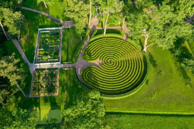 Peterhof 'un peyzaj parkında bir çalı labirenti. Çalı deseni. Yaz sezonu. Bahçe tasarımı. Yukarıdan görüntüle.