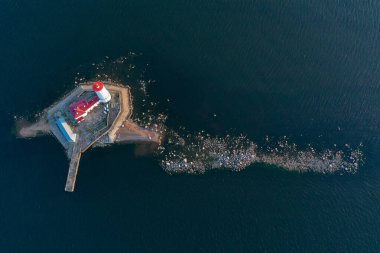 Tolbukhin deniz fenerinin panoramik hava manzarası. Finlandiya Körfezi 'ndeki yapay kayalık ada. En eski Rus deniz feneri. Baltık Denizi. Taşlı sahil. Yaz günü. Mavi gökyüzü