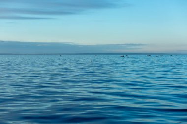 Gökyüzüne karşı turkuaz su rengi. Finlandiya Körfezi. Baltık Denizi. Sudaki dalgalanmalar. Güneşli bir gün. Arkaplan