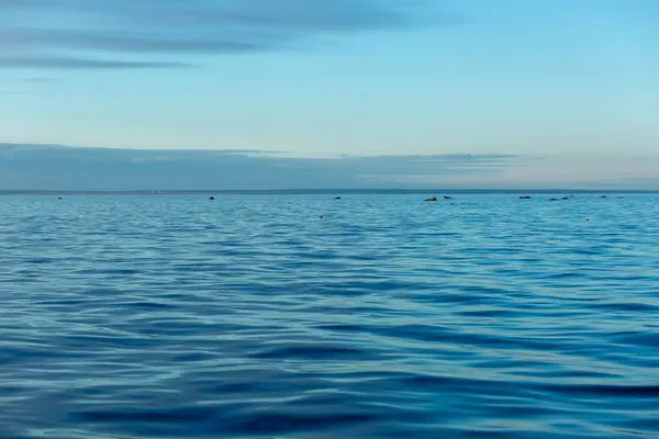 Acquerello Turchese Contro Cielo Golfo Finlandia Mar Baltico Ondulazione Nell — Foto Stock