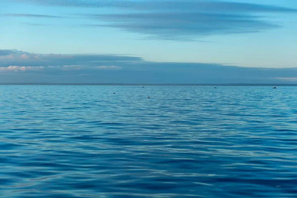 Acquerello Turchese Contro Cielo Golfo Finlandia Mar Baltico Ondulazione Nell — Foto Stock