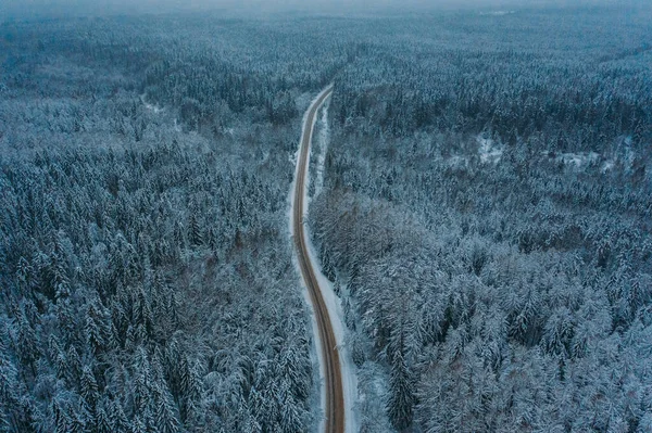 Aerial View Winter Forest Road Leningrad Region Siberian Larch Evening — Stock Photo, Image