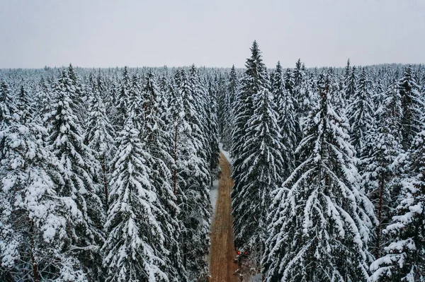 Aerial View Snow Covered Deciduous Forest Winter Landscape Grove Tops — Stock Photo, Image