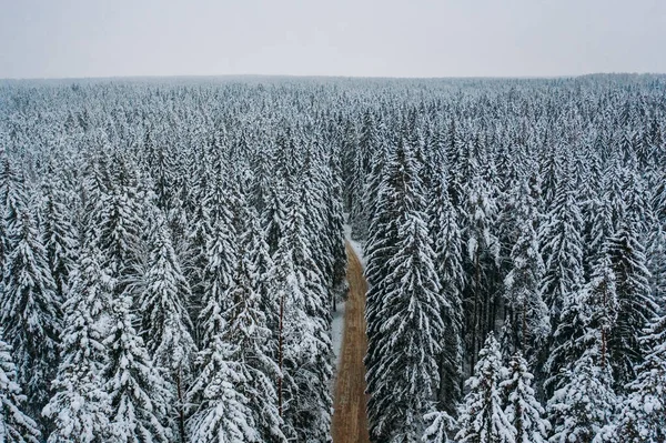 Aerial View Snow Covered Deciduous Forest Winter Landscape Grove Tops — Stock Photo, Image