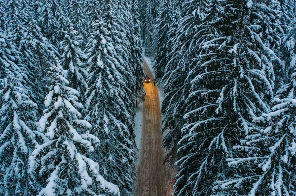 Aerial View Winter Forest Road Leningrad Region Siberian Larch Evening — Stock Photo, Image