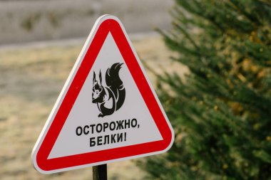 Üzerinde Rusça sincaplar yazılı olan fındıklı sincap resmi olan üçgen şeklinde kırmızı çerçeveli bir uyarı işareti. Parktaki yol tabelası