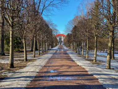 Güneşli bir günde bir bahar parkının ve yolların panoramik görüntüleri, yerdeki kar kalıntıları, yapraksız ağaçlar, ağaçların uzun gölgeleri, insanlar olmadan.