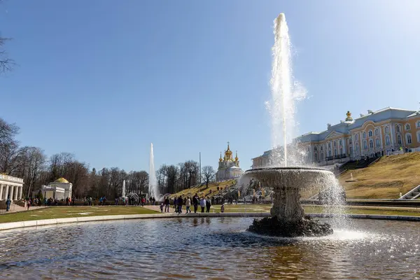 Large Italian fountain and marble bowl in the lower park of Peterhof, Panorama of the parterres in front of the Grand Palace, sunny day, Spring, Russia, Peterhof, 04.21.2021 — Stock Photo, Image