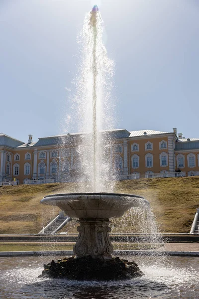 Duża włoska fontanna i marmurowa miska w dolnym parku Peterhof, Panorama parterres przed Wielkim Pałacem, słoneczny dzień, Wiosna, Rosja, Peterhof, 04.21.2021 — Zdjęcie stockowe