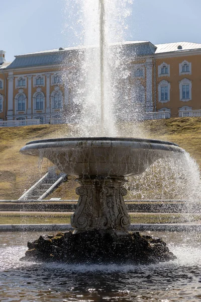 ピーターホフ公園の下の公園にある大きなイタリアの噴水と大理石のボウル、王宮の前のパレールのパノラマ、晴れた日、春、ロシア、ピーターホフ、 04.21.2021 — ストック写真