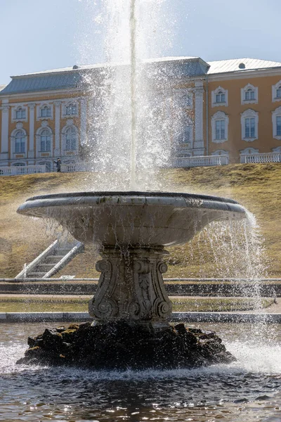 Duża włoska fontanna i marmurowa miska w dolnym parku Peterhof, Panorama parterres przed Wielkim Pałacem, słoneczny dzień, Wiosna, Rosja, Peterhof, 04.21.2021 — Zdjęcie stockowe