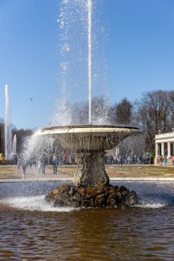 Peterhof 'un alt parkında büyük bir İtalyan çeşmesi ve bir mermer kase, güneşli bir gün, bahar, Rusya, Peterhof, 04.21.2021