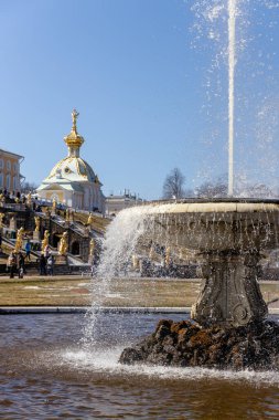 Peterhof 'un alt parkında büyük bir İtalyan çeşmesi ve bir mermer kase, güneşli bir gün, bahar, Rusya, Peterhof, 04.21.2021