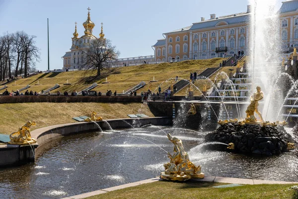 The majestic Samson fountain in Peterhof, tearing apart the lions mouth, a large cascade with gilded sculptures. Monument to the great Russian victories. Russia, Peterhof, 04.21.2021 — Stock Photo, Image