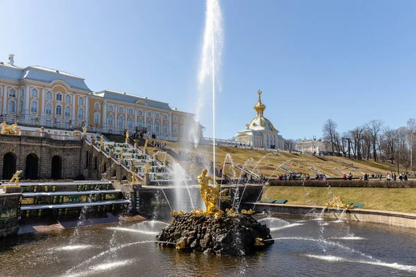 La majestueuse fontaine Samson à Peterhof, déchirer la bouche des lions, une grande cascade avec des sculptures dorées. Monument aux grandes victoires russes. Russie, Peterhof, 04.21.2021 — Photo